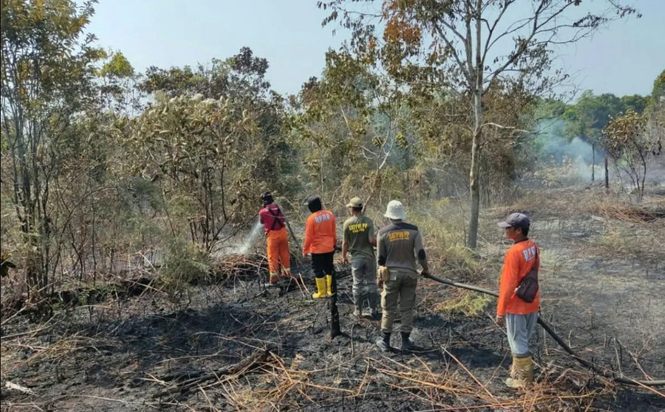 BMKG Laporkan Penurunan Titik Panas di Kalimantan Timur Tim Gabungan memadamkan karhutla di Nenang, Kecamatan Penajam, Kabupaten PPU, Minggu (3/9/2023)