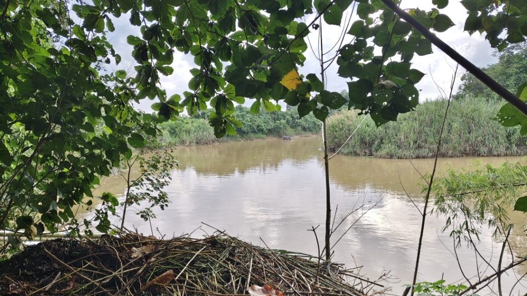 Sungai Sangatta